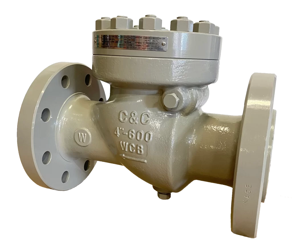 check valve