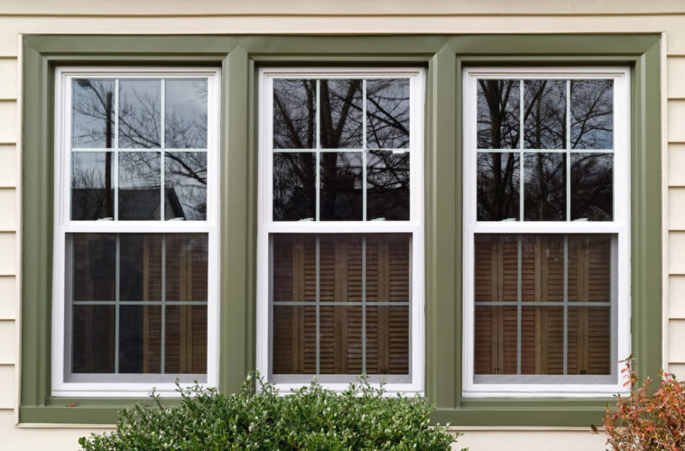 Window Designs