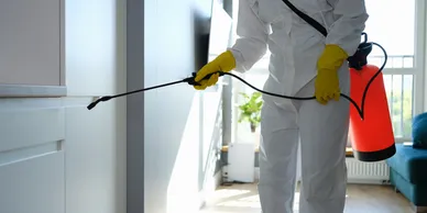 Pest Control Protects