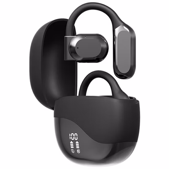 Translator Ear Buds